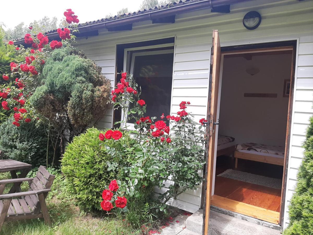 Agroturystyka Gaga Ustka Exteriör bild